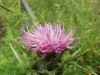 dscf6994
