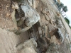 dscf7050