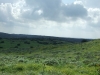 dscf7073