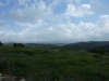 dscf7131
