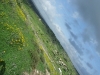 dscf7139