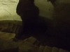 dscf7187