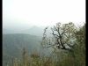 dscf2959