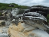 DSCF0441