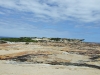 DSCF0475