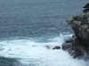 DSCF0495