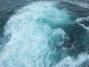 DSCF0592