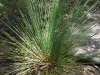 DSCF0627