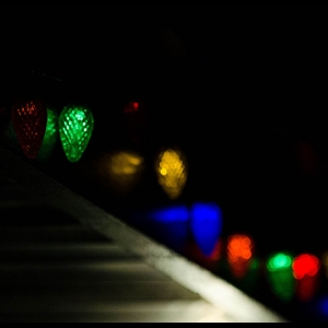 dsc_1107-copy