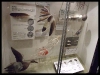 dscf0118