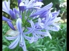 dscf0225