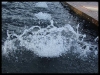 dscf0296