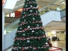 dscf0372