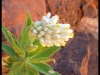 dscf2441