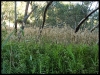dscf2563