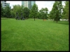 dscf5323
