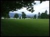 dscf5377