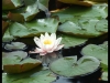 dscf5477