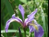 dscf5484