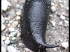 dscf5490