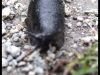 dscf5491
