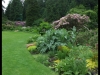 dscf5527