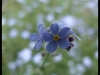 dscf5532