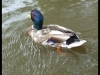 dscf5546