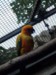 DSCF7945